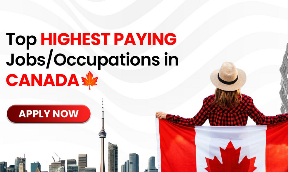 Canadas Highest Paying Jobs 2024 ScholarshipPortal